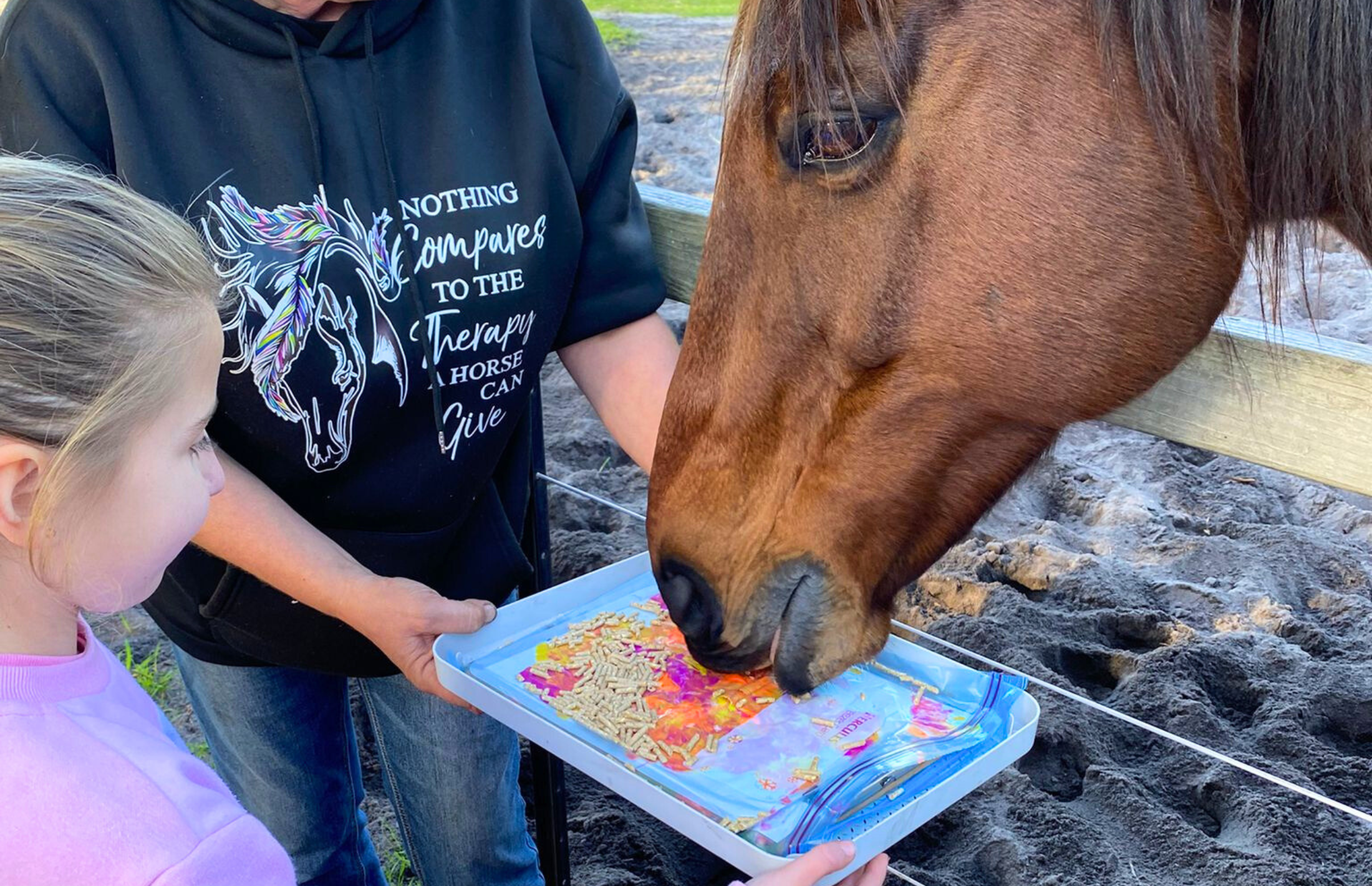 Horse feeding off a tray