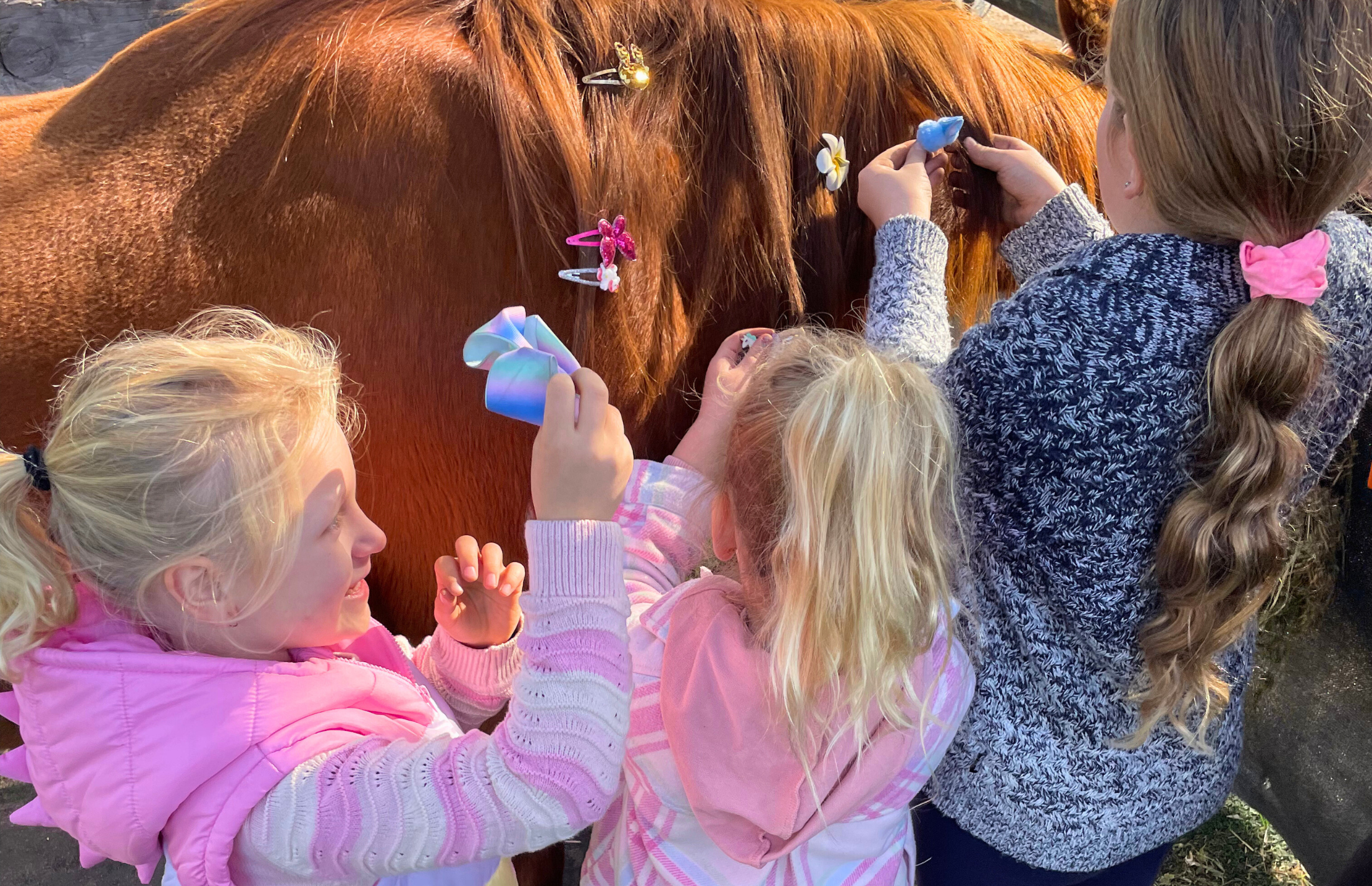 Children adding clips to horses hair