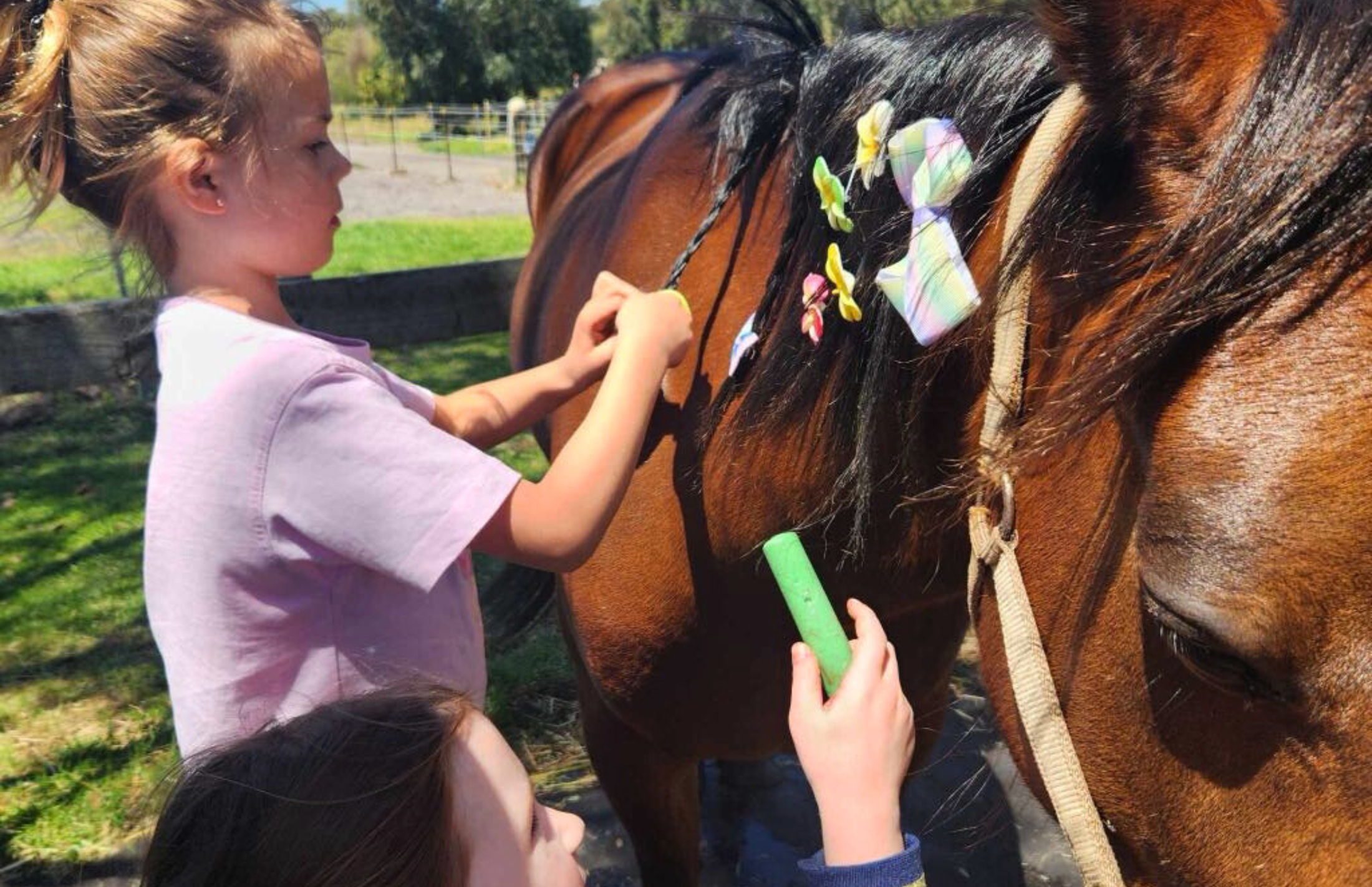 Child plating horse mane