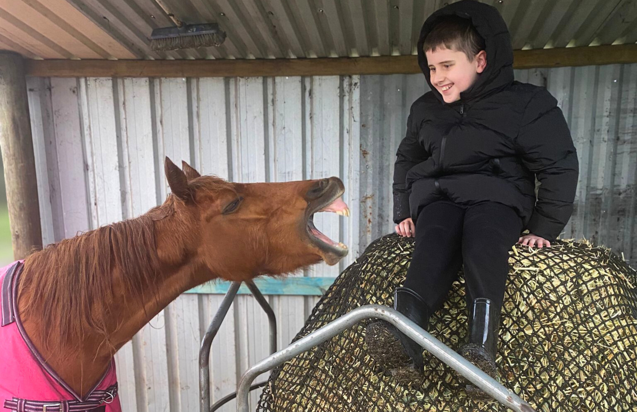 Child on a haystack with horse